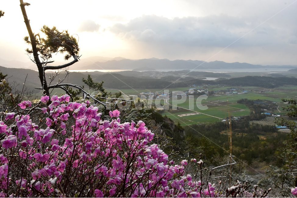 주작산,덕룡산,종주,진달래,풍경,기암,바위,비경,봄풍경,진달래꽃,강진,명산,산행,등산,마운틴,힐링,mountain,landscape,자연,natural,봄,계절,spring,season,자연,풍경,nature,landscape,한국자연풍경,한국자연경관,korea nature landscape,outdoors,옥외