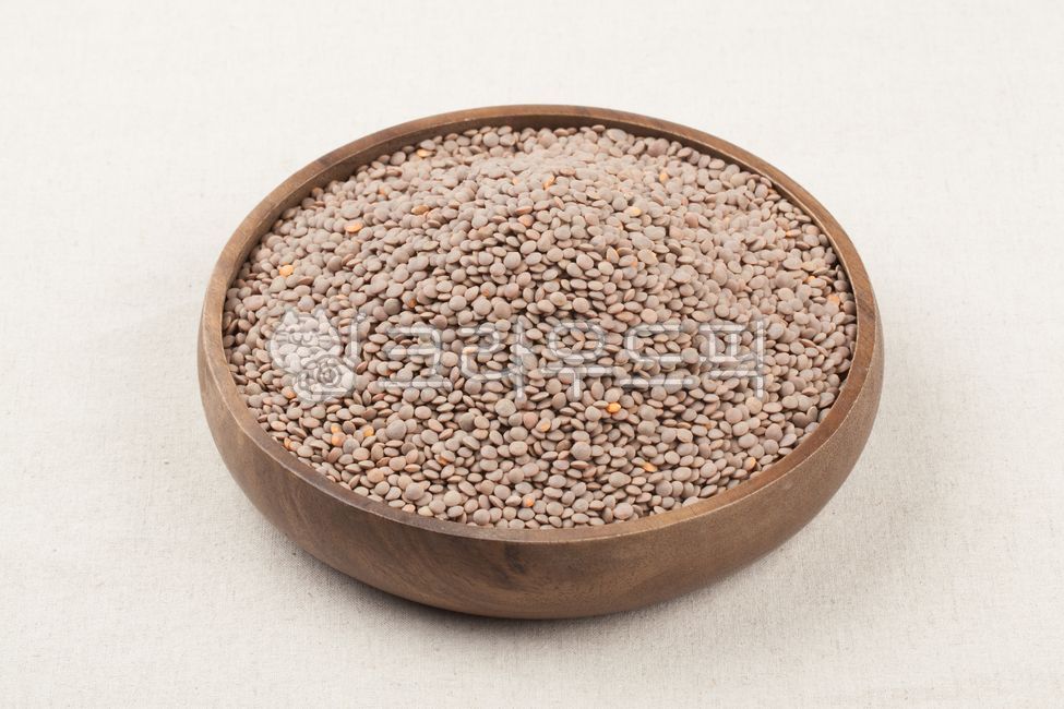 렌틸콩,콩,곡식,곡류,단백질,식이섬유,다이어트,렌즈콩,비타민,슈퍼푸드