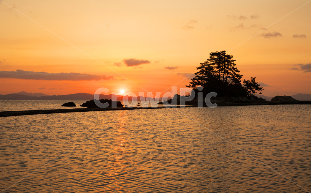 pine tree,dusk,winter,lights out island,scene,Beach,sight,season,dock,sky,red sky,nature,island,tree,Dusk,horizon,sunlight,fishing village,ocean,outdoors,redsky,sunset,Sunrise,dawn