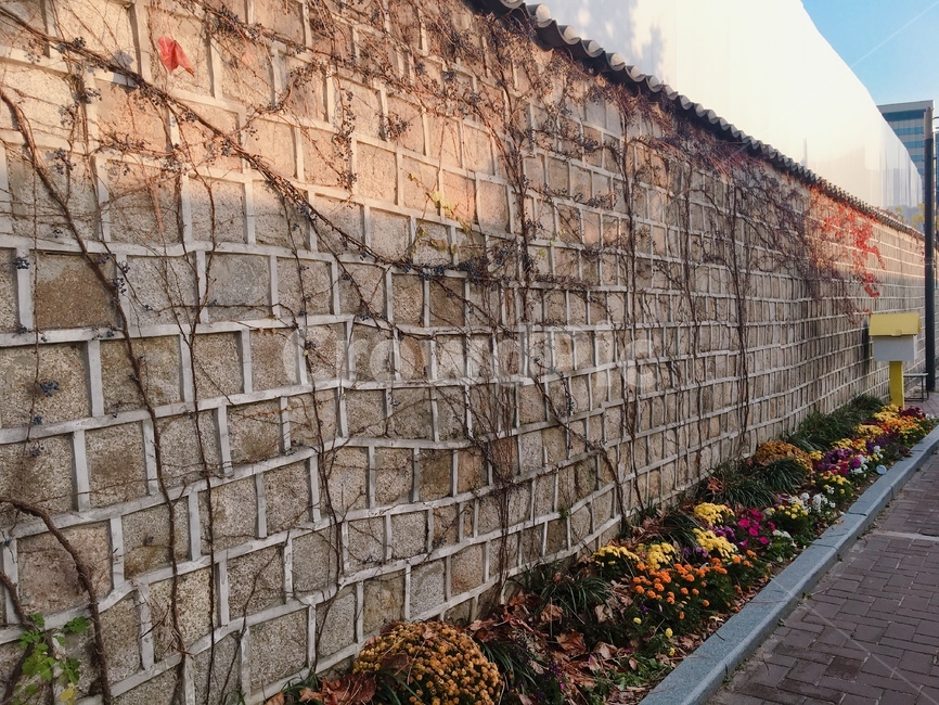 담벼락,가을,낙엽,맑은날,알록달록,가을,계절,fall,autumn,season,한국전통,한국문화,korean traditional,korean culture,건축물,건물외관,exterior,building,structure,architecture,construction,path,통로,walkway,보도,brick,벽돌,wall,벽