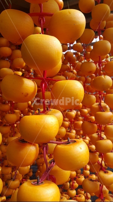 과일,식품,food,fruit,식물