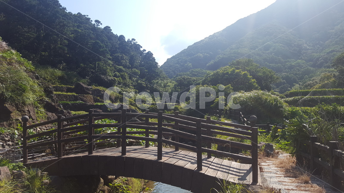 자연,햇빛,산,강,나무,풍경