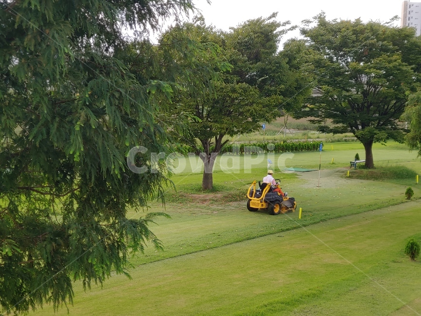 field,파크골프장,잔디깍기,가을,풍경,잔디,나무