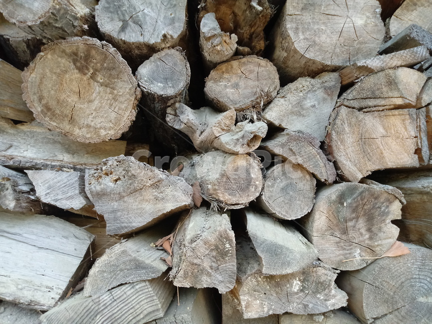장작,땔감,나무,firewood,통나무