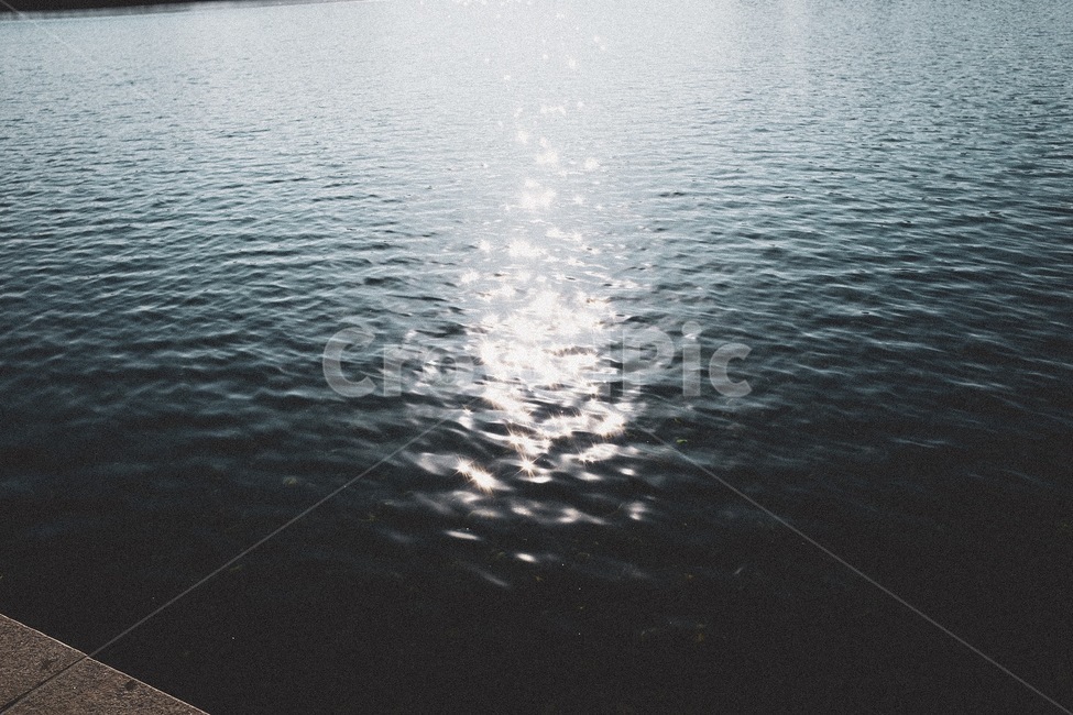 윤슬,호수,한국,도시,공원,호수공원,lake,korea,lakepark,감성,feeling,park,sunshine,햇살,오후,자연,풍경,nature,landscape,outdoors,옥외,water,물