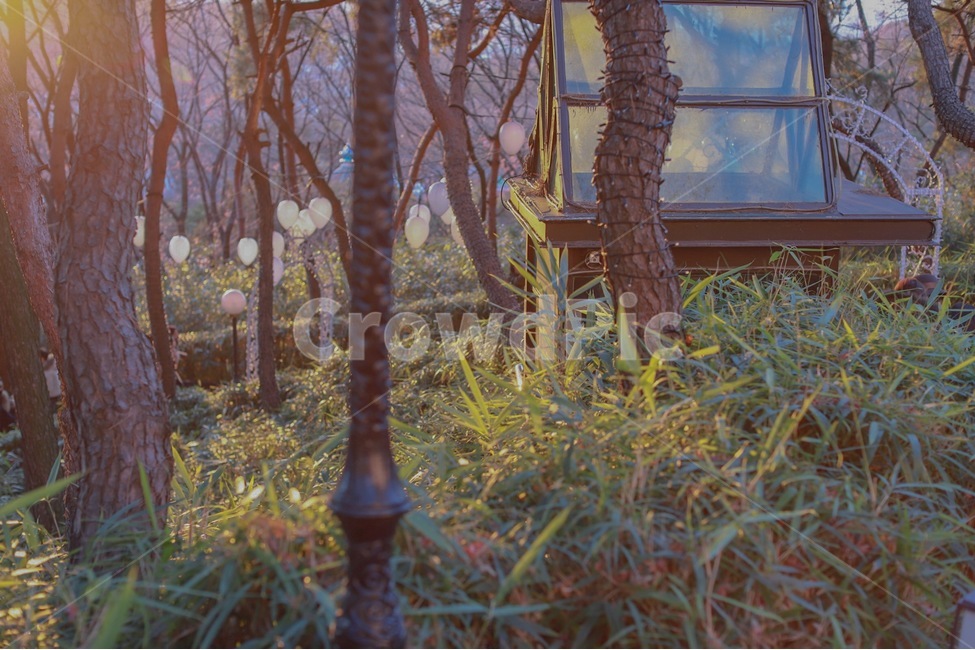 숲길,숲,나무,따스함,햇빛,분위기,가로등,겨울,식물,자연,plants,nature,나무,trees,wood,휴식,힐링,rest,relaxation,healing
