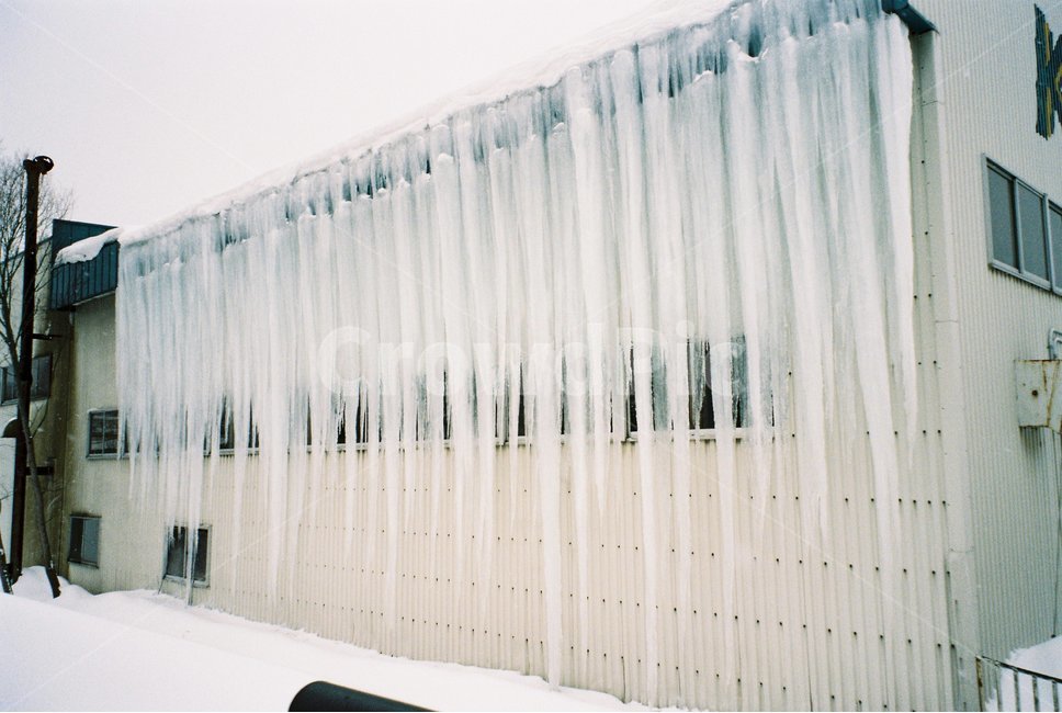 눈,겨울,snow,나무,화이트,경치,자연,nature,winter,고드름,ice,겨울,계절,winter,season
