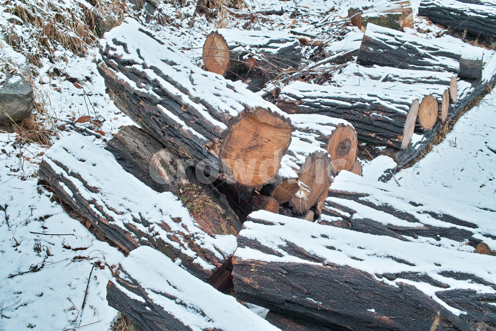 wood,나무,땔감,겨울,눈,난방,추위,fuel,firewood,heating,winter,시골,마을,겨울,계절,winter,season