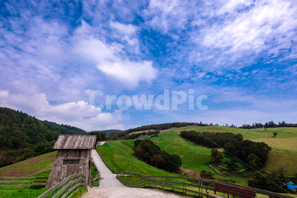 대관령,양떼목장,목초지,강원도,봄,시골,자연,풍경,nature,landscape,한국자연풍경,한국자연경관,korea nature landscape,outdoors,옥외,building,건물