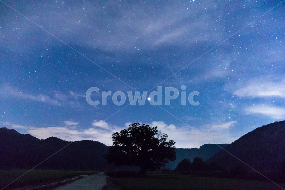 별,여름밤,landscpae,보은군,야경,nightscape,자연풍경,나무,마로면,원정리