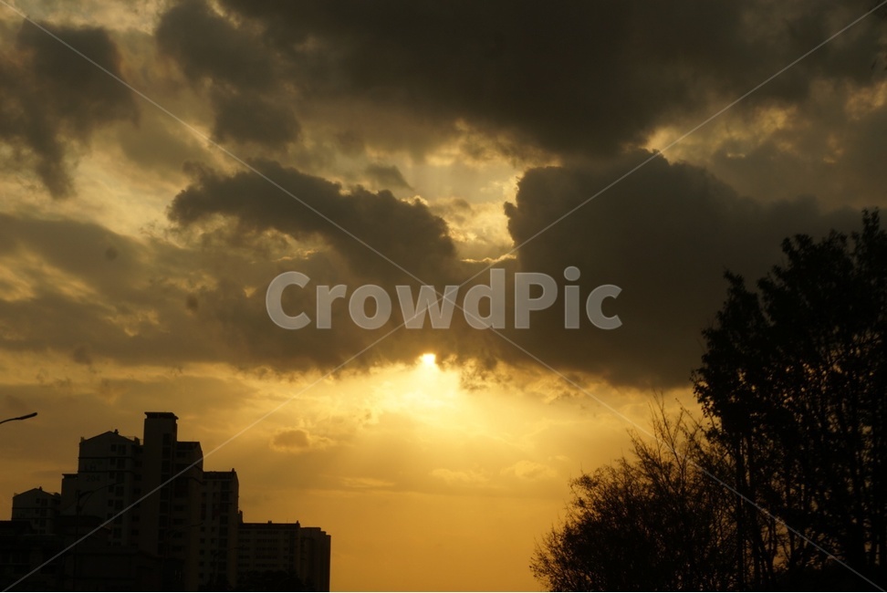 sunlight,햇빛,light,날씨,자연,nature