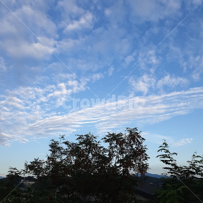nature,자연,outdoors,옥외,sky,구름,cloud,날씨,weather,하늘,자연,풍경,nature,landscape,cumulus,적운