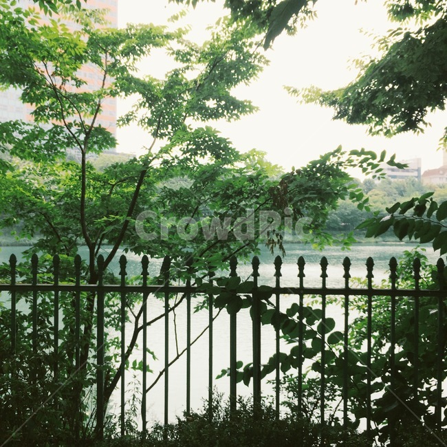 여름,나무,석촌호수,롯데월드,seoul
