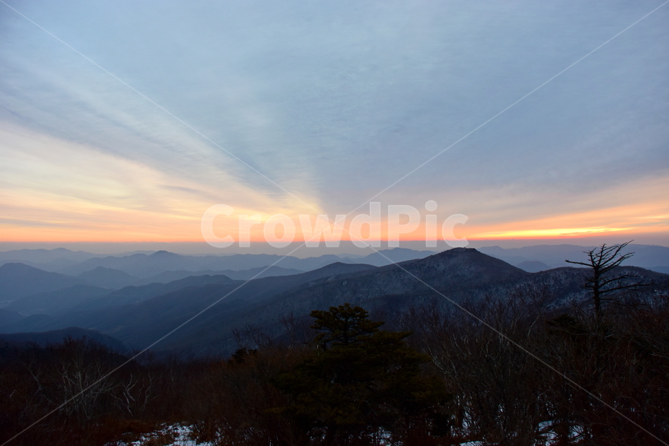태백산,여명,일출,겨울,풍경,mountain,nature,landspace,신비로운,경이로운,아름다운,비경,계절,mountain range,산맥,자연,산,outdoors,옥외