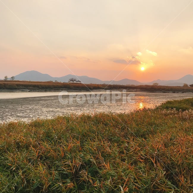 가을,노을,해질녘,갈대,순천만,가을,계절,fall,autumn,season,nature,자연,outdoors,옥외