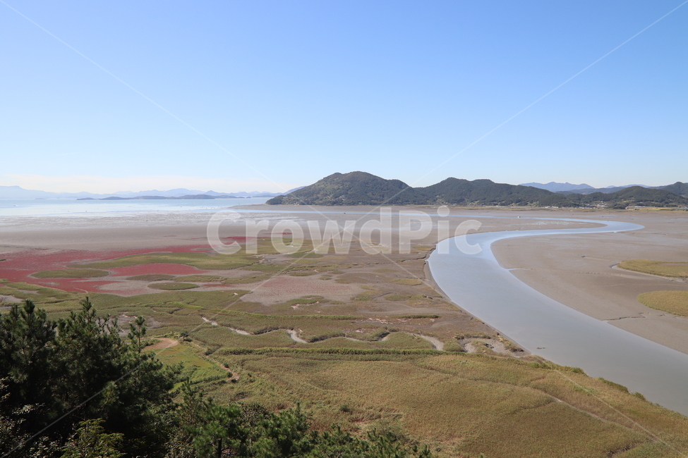 outdoors,land,nature,자연,순천만,갯벌