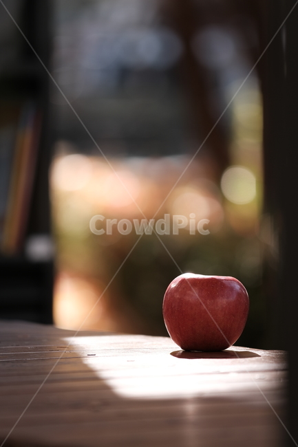 사과,과일,공원,벤치,의자,음식,식재료,요리,food,cook,meal,dishes,food reserves,과일,열매,fruit