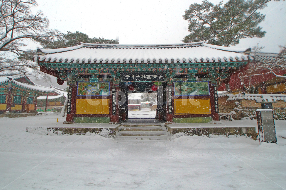설경,백양사,겨울,눈,사찰
