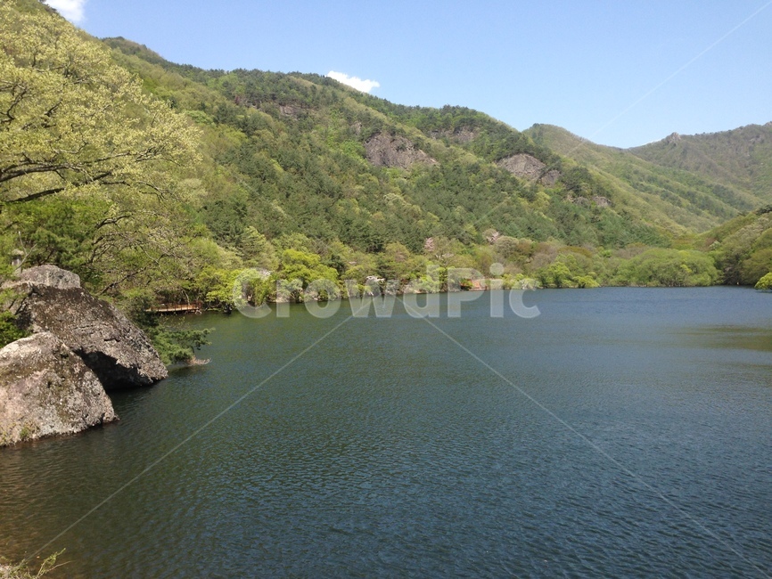 주산지,주왕산,저수지,인공저수지,왕버들,버드나무,청송,한국,jusanji,juwangsan,reservoir,artificialreservoir,weepingwillow,koreanweepingwillow,cheongsong,korea