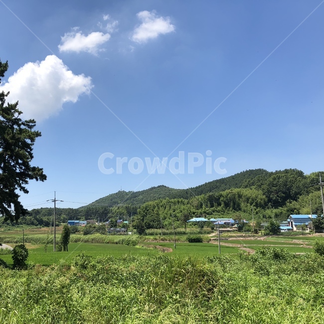 시골,자연,풍경,하늘,나무,들판,초록,힐링,여유,시골,마을,풍경,landscape,country,rural,town