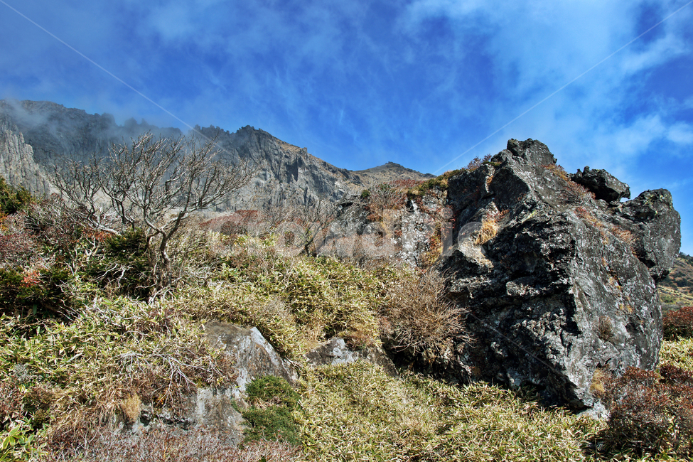 남벽,한라산,제주도,한라산국립공원,돈내코코스,조릿대,관목,푸른하늘,구름,암벽
