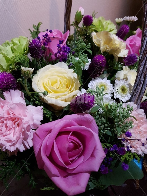 꽃바구니,장미,꽃선물,봄,선물,꽃다발,기념일,flower,rose,spring,present,꽃,flower