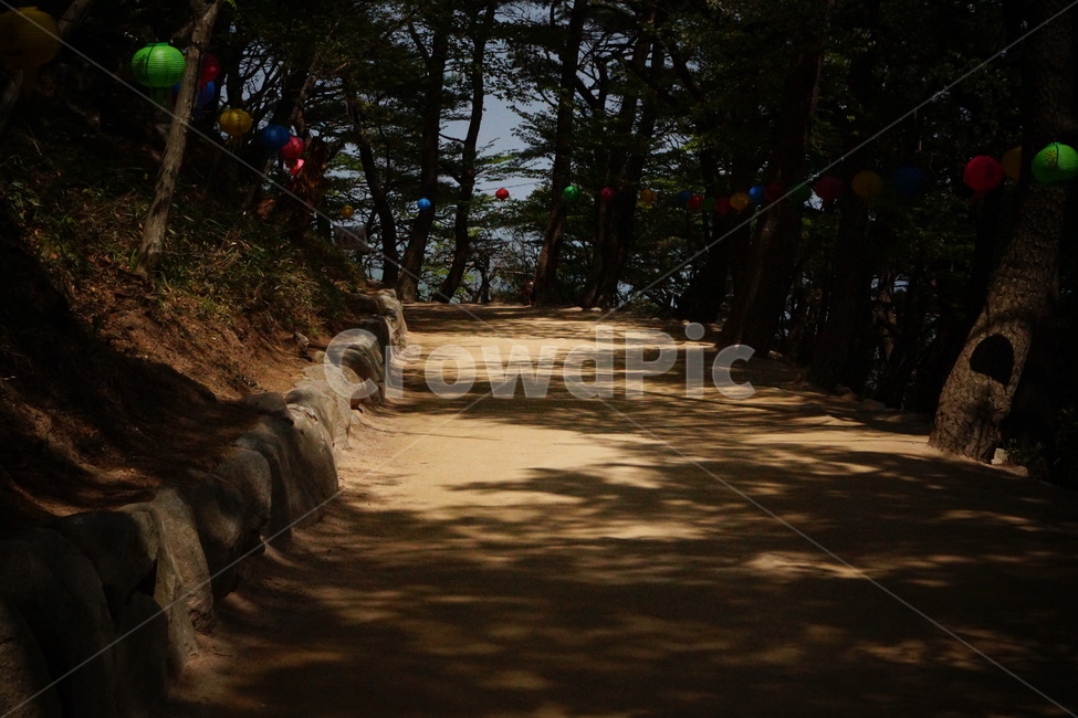 오솔길,숲길,산책길,woodlandpath,shadypath,paththroughaforest