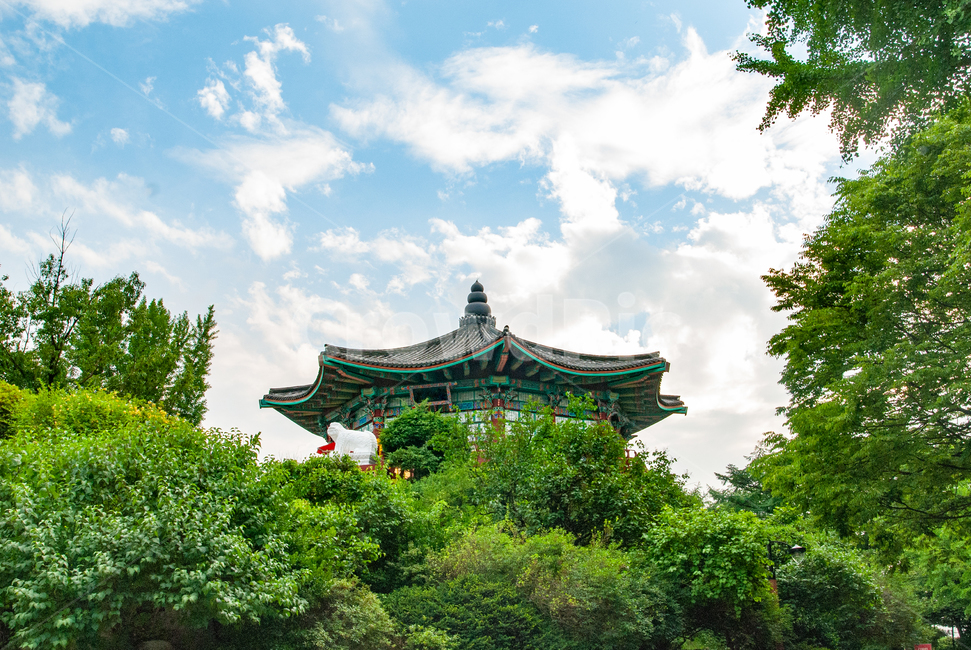 어린이대공원,팔각정,pavilion,건물,건축물,architecture