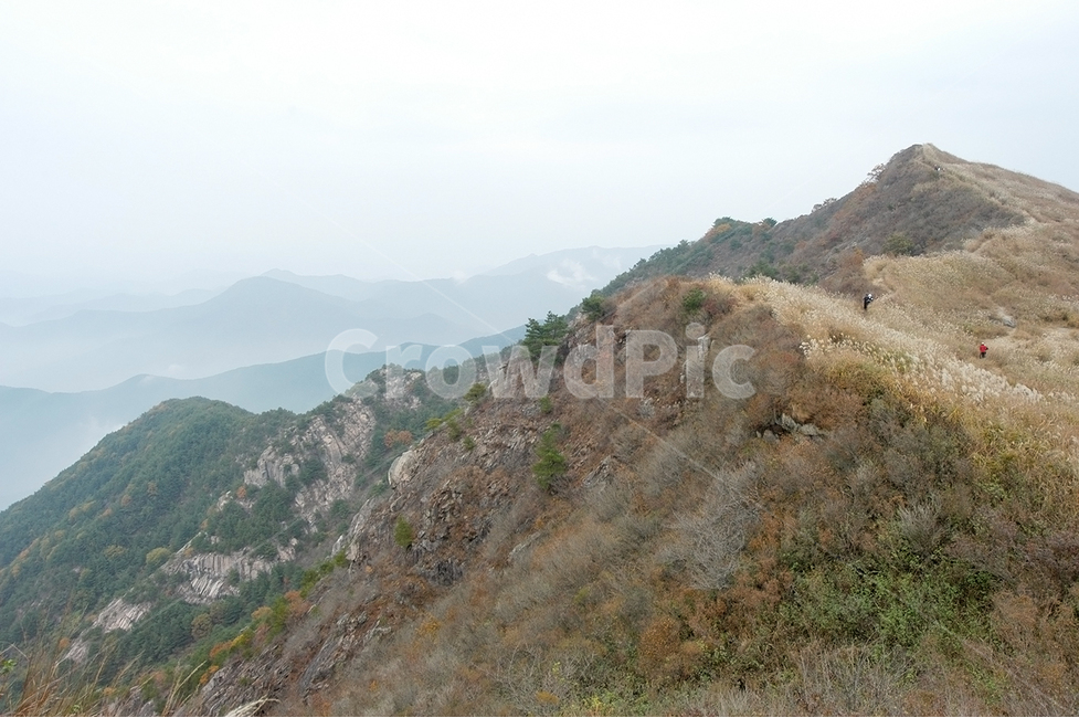 자연,산,억새,화왕산,구름,가을,계절,fall,autumn,season,자연,풍경,nature,landscape,한국자연풍경,한국자연경관,korea nature landscape,slope,경사,outdoors,옥외