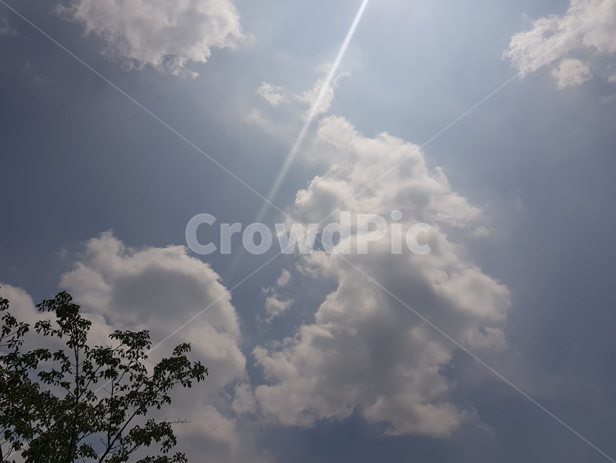 구름,하늘,푸른하늘,뭉게구름,하얀구름,흰구름,파란하늘,나무,햇살,cloud,sky,bluesky,tree,맑은하늘