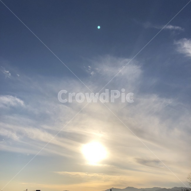하늘,가을,구름,나무가지,감,나무,가을하늘,겨울하늘,풍경,sky,cloud,tree