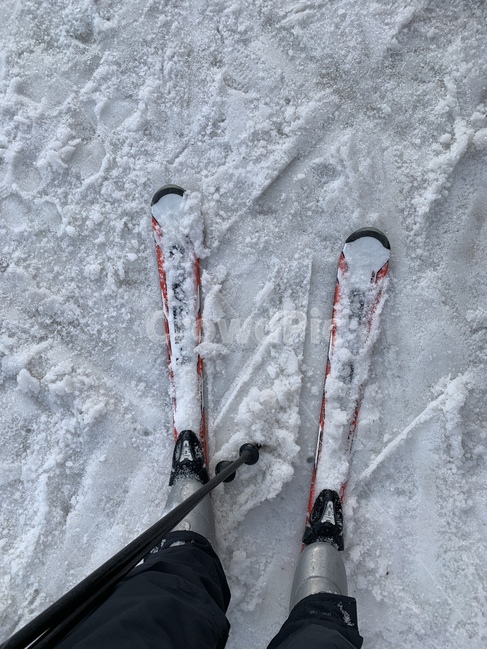 스키,눈,겨울,폴대,사람,겨울,계절,winter,season,스포츠,레저,운동,sports,leisure,exercise