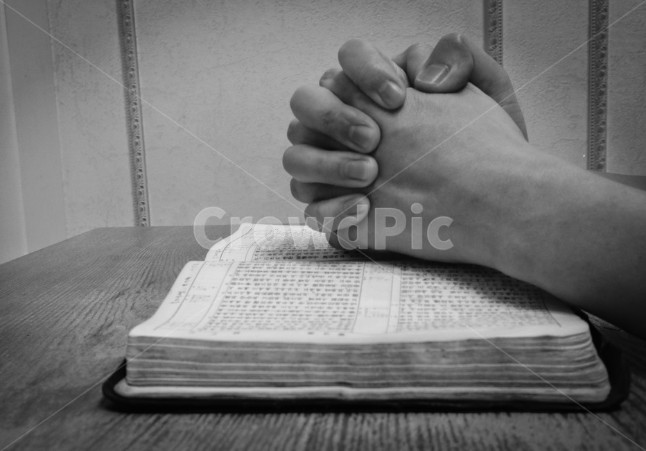 성경책,기도,믿음,기독교,종교,개신교,바이블,bible,성경,손,faith,흑백