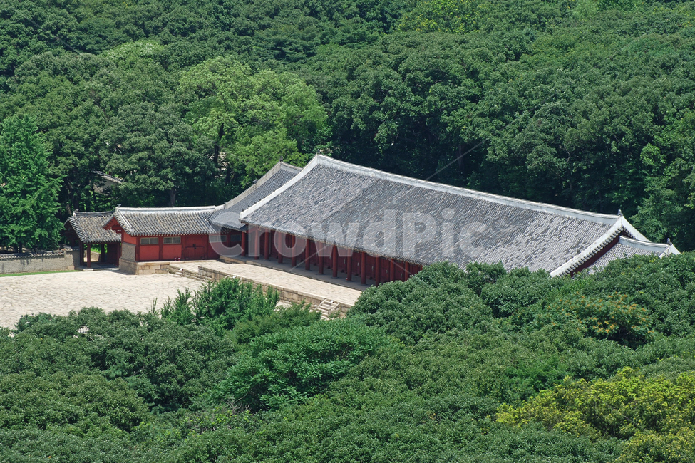 종묘,정전,문화재,사적,세계문화유산,세계,문화유산,건축,건축물,전통,한국전통,서울,한국,숲,녹지,명소,전통건축물