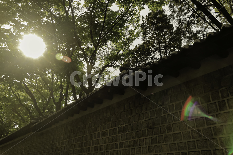 서울,덕수궁,덕수궁돌담길,따스한날,풍경