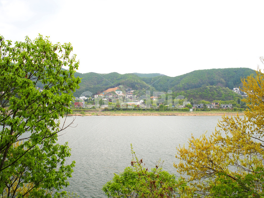 nature,자연,outdoors,옥외,호수,나무,풍경,lake,trees,landscape