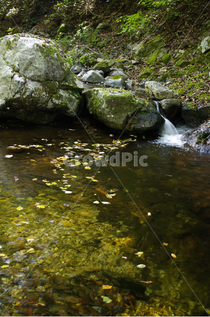 계곡,바위,낙엽,물,계곡물,자연,풍경,nature,landscape,water,outdoors,옥외
