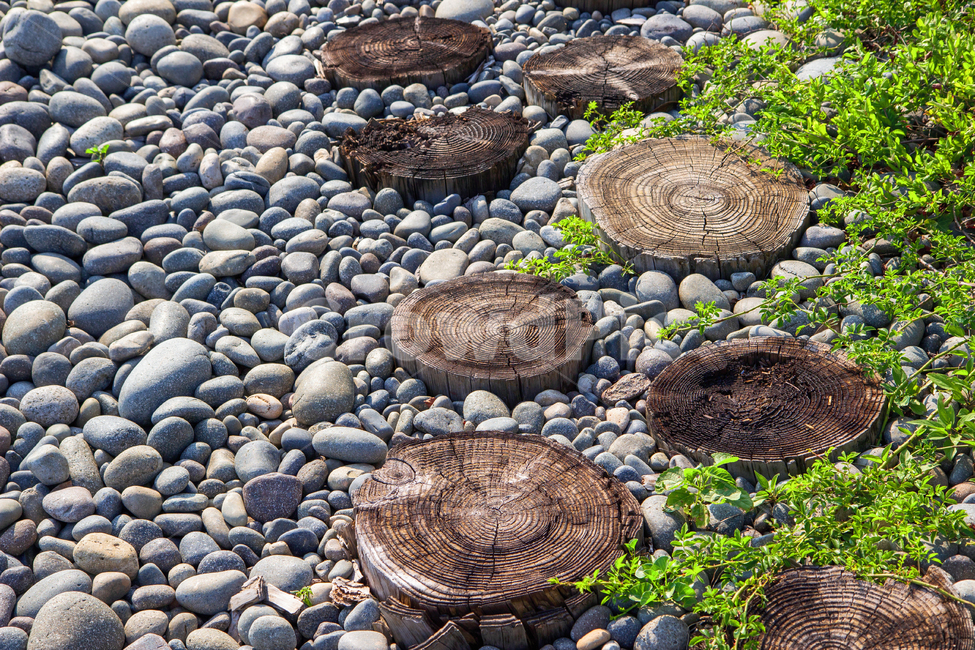 완도자갈해안,나무발판,자갈,돌,해안,완도,자갈해안,자연,바다,beachside,나무,gravel,scaffold,wood