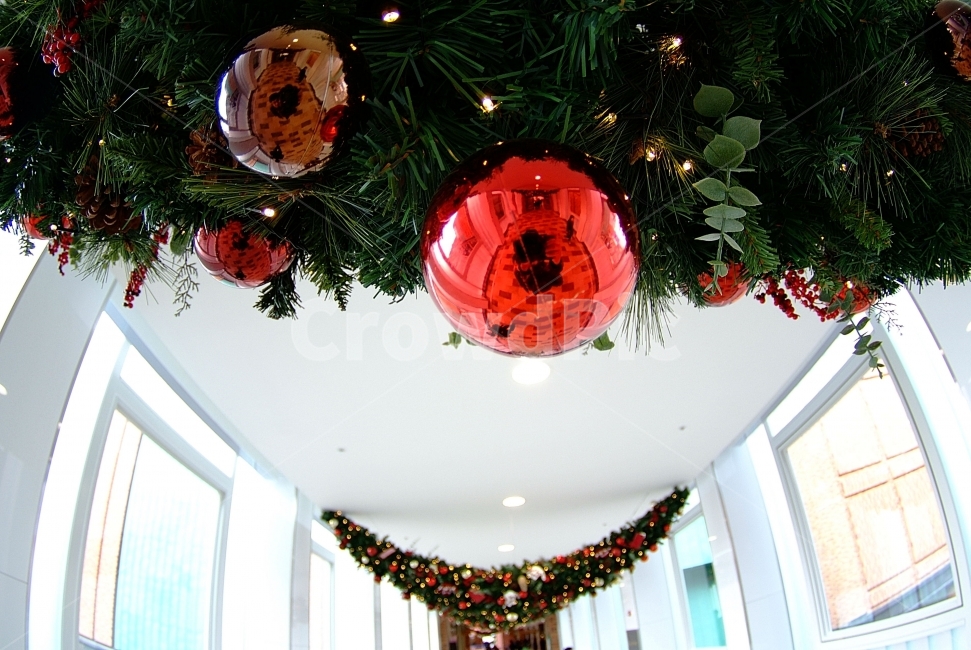 크리스마스,장식,트리,겨울,초록,빨강,구슬,볼,Christmas,겨울,계절,winter,season,기념일,축하,anniversary,congratulation,celebrate,celebration,메리크리스마스,성탄절,merry christmas,인테리어,실내디자인,interior design