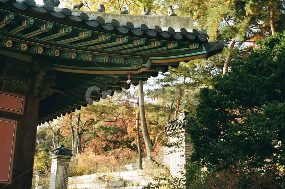 전통,한국,건물,곡선,궁궐,지붕,창경궁,한국전통,한국문화,korean traditional,korean culture