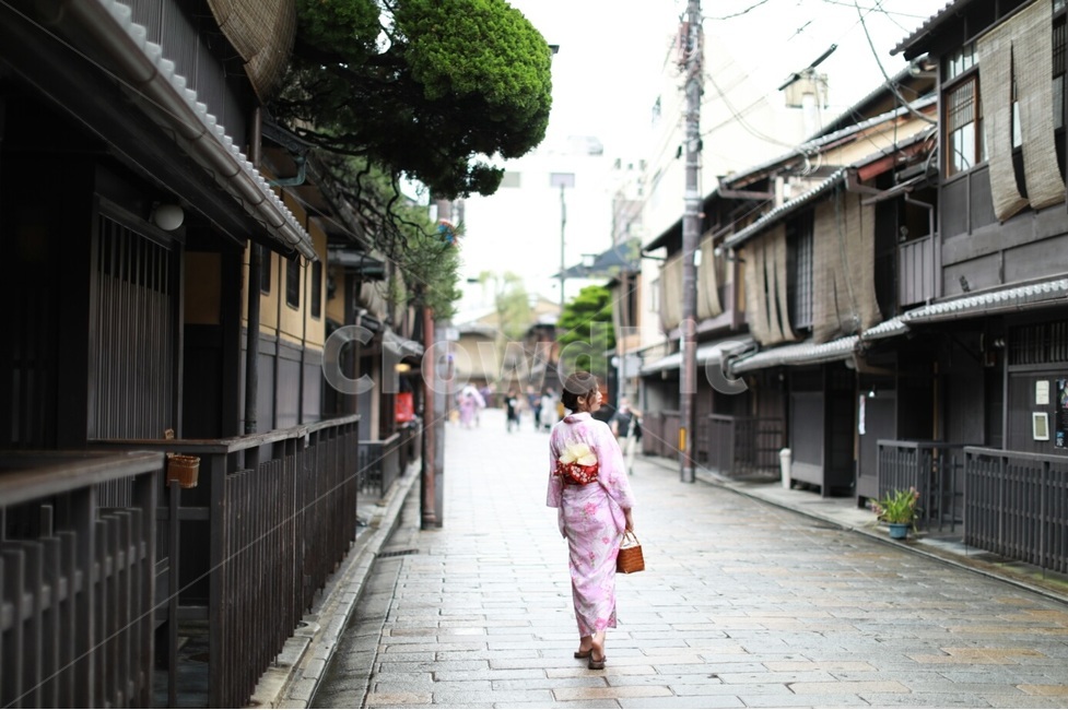 일본,기모노,유카타,여자,뒷모습,꽃무늬,일본의상,japan,yukata,kimono,전통의상,오비,kyoto,교토,일본거리,교토거리,리본,분홍,야외,옷,걷다,거리,올림머리,여행,사람,인물,인간,human,person,여성,여자,woman,female,lady