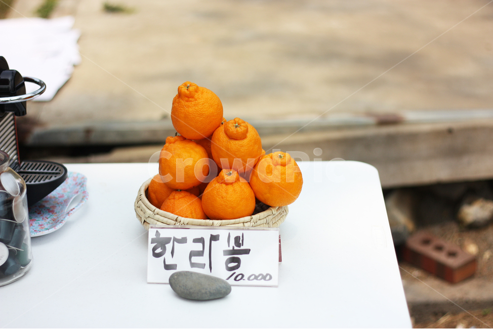 한라봉,food,음식,plant,식물,citrusfruit,과일,fruit,감귤류과일,주황색,감귤류,감귤