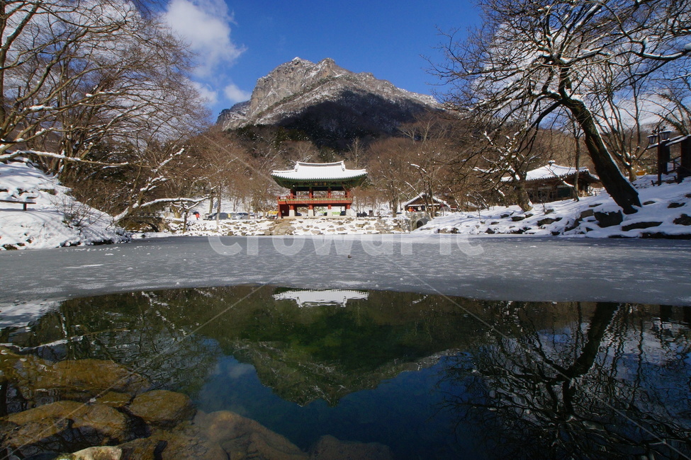 내장산,백양사,쌍계루,설경,국립공원,겨울,계절,winter,season,자연,풍경,nature,landscape,한국자연풍경,한국자연경관,korea nature landscape,outdoors,옥외