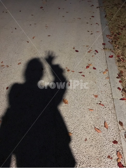 가을,낙엽,그림자,공원,산책로,밤풍경,감성사진,가을,계절,fall,autumn,season,사람,인물,인간,human,person,인물실루엣,사람실루엣,character silhouette,human silhouette