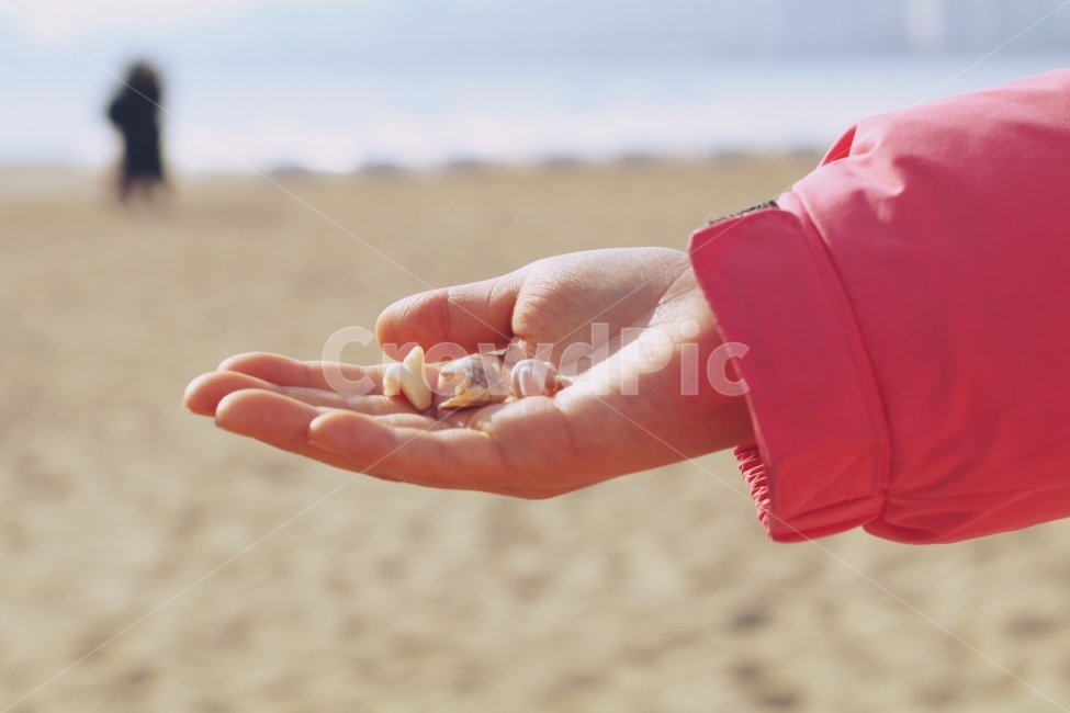 조개껍데기,손,어린이,겨울,해변,바닷가,교육,체험,체험학습,겨울방학,해변,바다,beach,sea,사람,인물,인간,human,person,신체일부,몸,body,감성,sensible,feeling