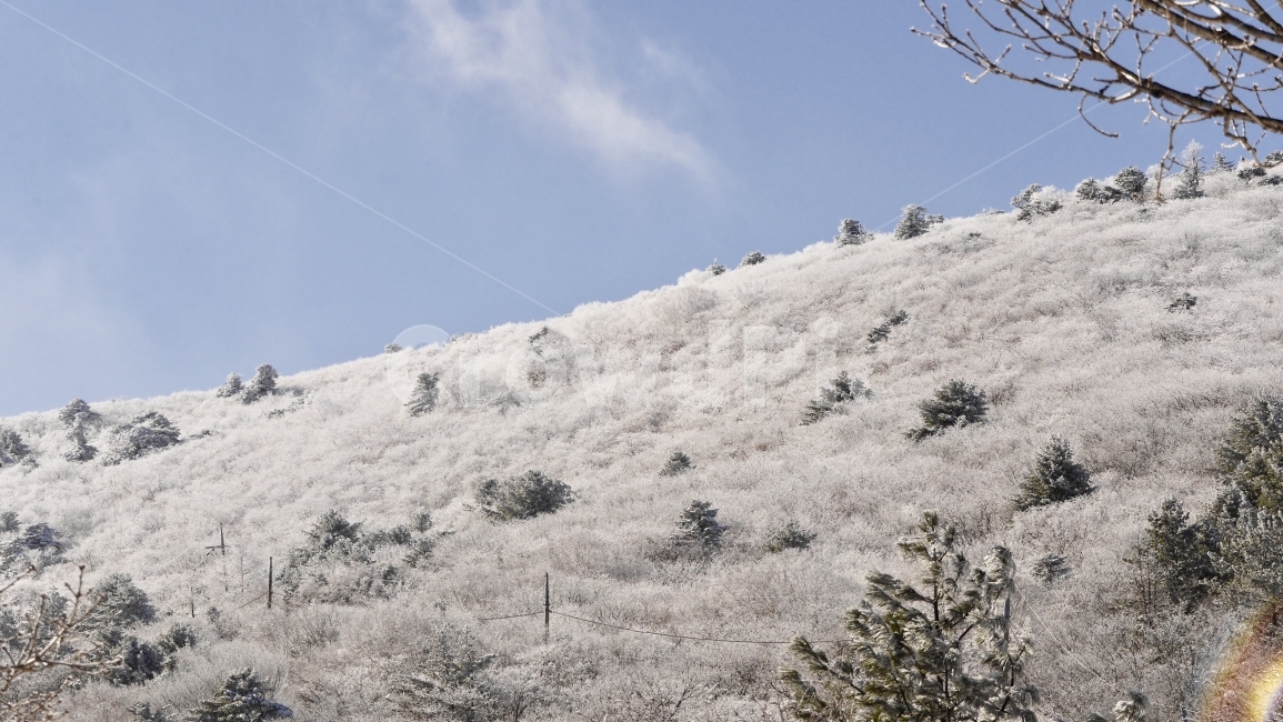 겨울산,눈산,겨울,눈꽃,풍경,여행,산행,산,정상,맑은하늘,소나무,겨울,계절,winter,season,자연,풍경,nature,landscape,slope,경사,plant,식물,tree,나무,outdoors,옥외,fir,전나무