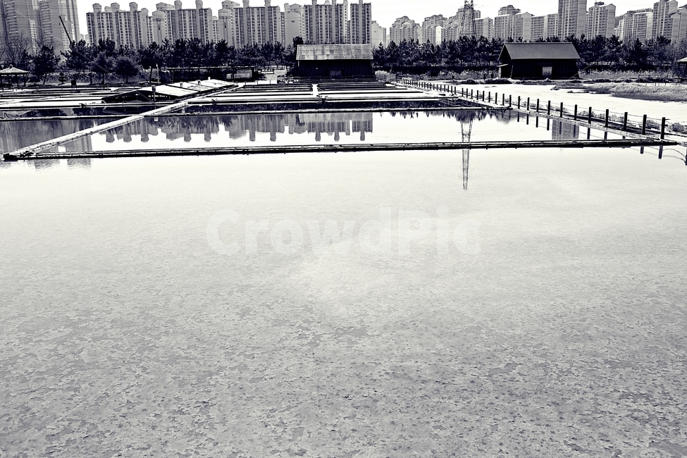 염전,소금창고,소금,소래생태공원,풍경,자연,배경,흑백,모노톤,monochrome,black and white