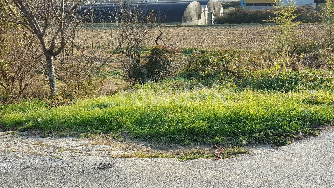자연,풍경,추억,시골,겨울,풀,자연,풍경,nature,landscape,outdoors,옥외