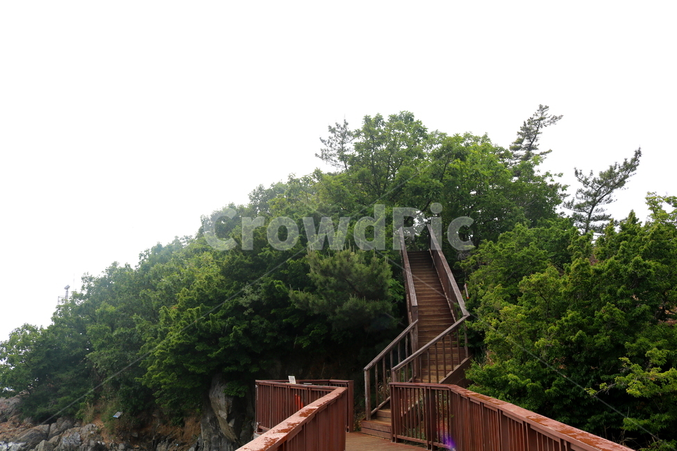 다리,대부도,해솔길,개미허리아치교,아치교,구봉도,나무,자연,풍경,자연,풍경,nature,landscape