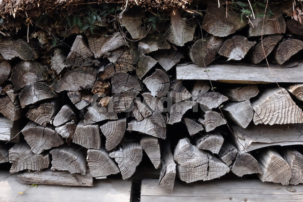 나무,땔감,재질,자연,질감,거친,조각,나무,trees,wood
